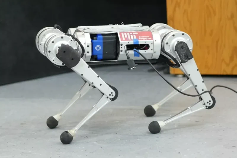 This Robot Learned to Walk