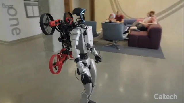 Sinergia Robotica: Il Futuro è il Lavoro di Squadra