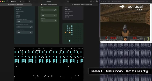 Cortical Labs Plugs Human Brain Cells Into an LLM After They Mastered DOOM
