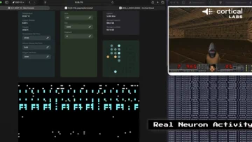 Lidské neurony v LLM: Cortical Labs hlásí průlom po hře DOOM