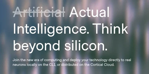 Cortical Labs geliştirici dokümantasyonunun SDK'yı yüklemek için Python kodunu gösteren ekran görüntüsü.