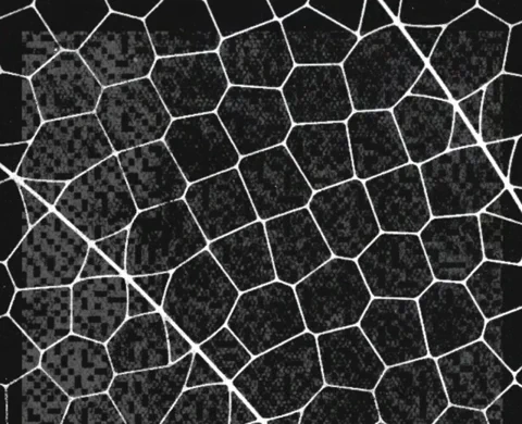 Projet Glasswing Anthropic : Stopper Skynet avant le début