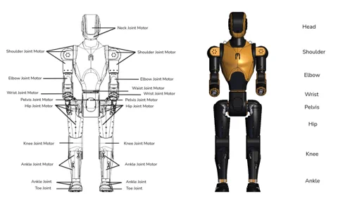 Diagramma del robot umanoide Asimov 1 che mostra la posizione di tutti i motori dei giunti.
