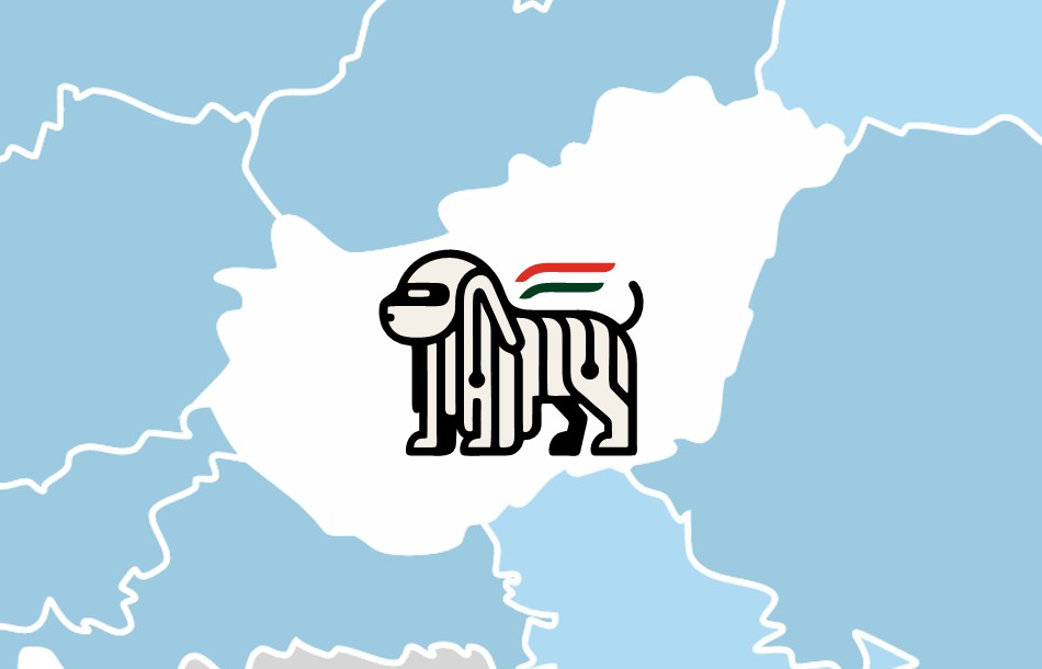 Associazioni di robotica nella regione
