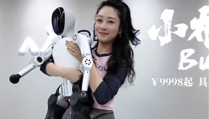 Noetix Bumi: Un amico robot umanoide da $1400?