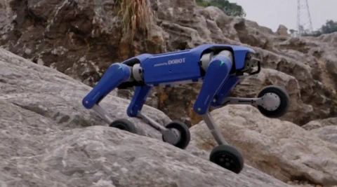 DOBOT Rover X1: Un cane robot per tutti?