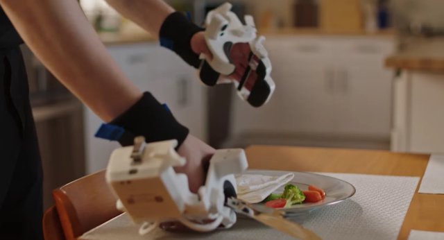 Robot Training's Big Divide: Human Teachers vs. YouTube Binges