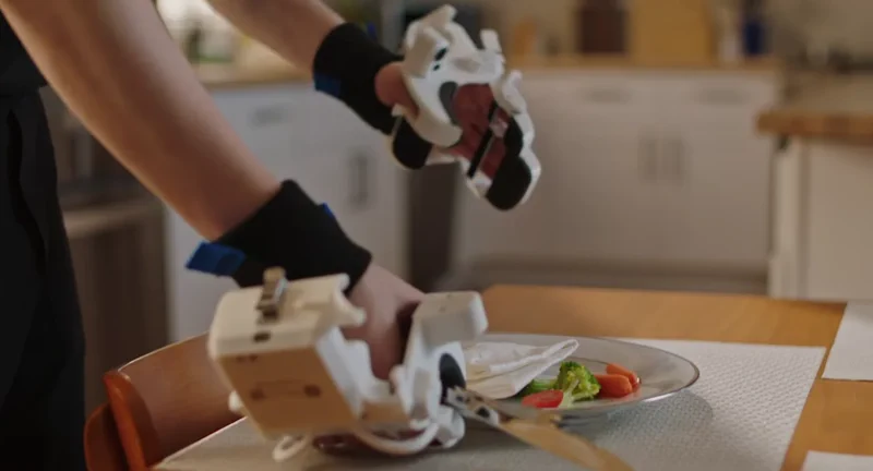 Robot Training's Big Divide: Human Teachers vs. YouTube Binges