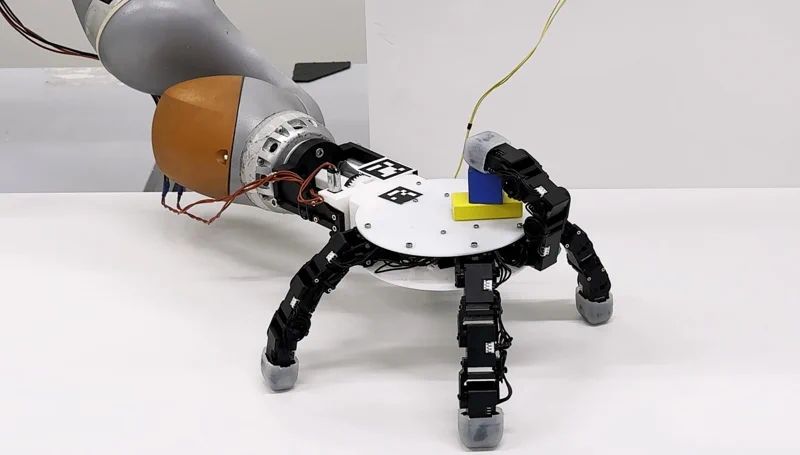 EPFL crea una mano robótica que se funde para agarrarlo todo