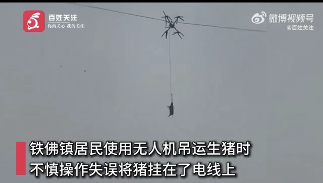 Un cerdo en dron desata el caos: apagón masivo en Sichuan