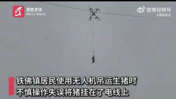 Vliegend varken zorgt voor totale chaos en urenlange stroomuitval