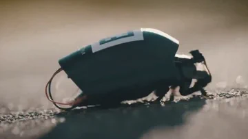 NAVO zet nu cyborg-insectenzwermen in op het slagveld