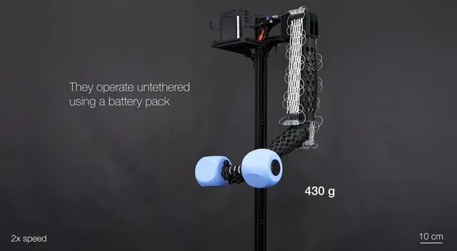 Bu Makinede Yıkanabilir Kas Lifleri Kendi Ağırlığının 200 Katını Kaldırabilir