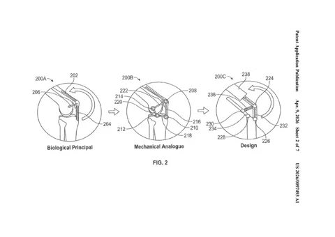 Figure du brevet montrant la transition entre l'anatomie du genou humain et une liaison mécanique.