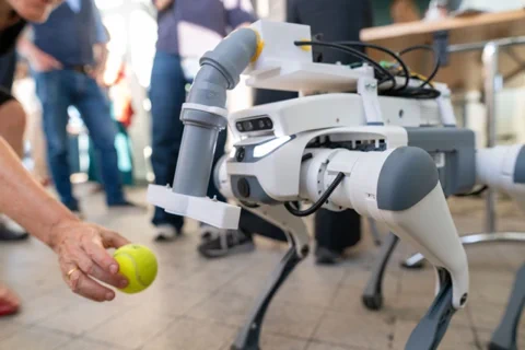 Ten robotyczny pies dosłownie czuje niebezpieczeństwo