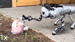 Les quadrupèdes apprennent à manipuler avec Human2LocoMan