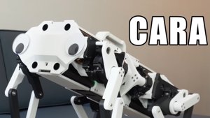 CARA: De revolutie van de touwgedreven robothond
