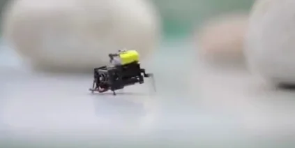 Des chercheurs de Pékin créent un microrobot ultrarapide de 2 cm inspiré d'insectes