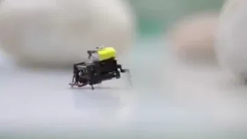 Onderzoekers uit Beijing creëren ultrasnelle 2cm microbot in insectenstudie