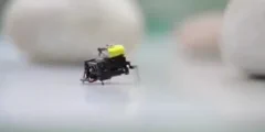 Onderzoekers uit Beijing creëren ultrasnelle 2cm microbot in insectenstudie