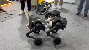 Robot Coesi: Moduli si Uniscono a IROS 2025