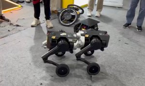 Robot Coesi: Moduli si Uniscono a IROS 2025
