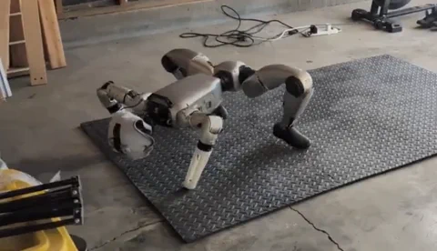 El humanoide Unitree G1 olvida cómo caminar