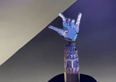 La mano di Optimus V2 di Tesla mostra la sua destrezza