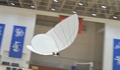 Esta mariposa biónica es inquietantemente real