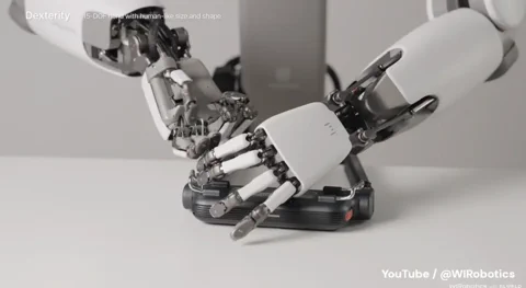 ALLEX Robotic Hand Shows Off Its Delicate, 15-DOF Touch