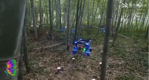 Enjambre de drones de Zhejiang: navegación autónoma en el bosque