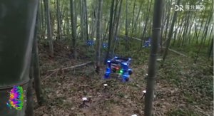 Droni Zhejiang: Volo Autonomo in Foresta