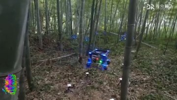 Zhejiang Uni Drones Vliegen Zelfstandig Door Dicht Bos
