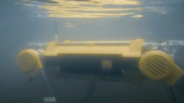 MirrorMe Apollo : le quadrupède qui porte 70 kg et sait nager