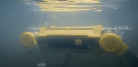 MirrorMe Apollo: il robot cane da 70kg che non teme l'acqua