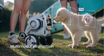 Rovar od Sentigent: Robotyczny strażnik Twojego kempingu