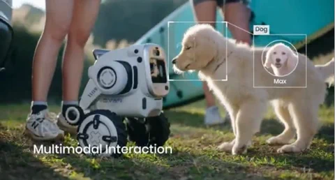 Rovar: el robot de Sentigent que vigila tu campamento