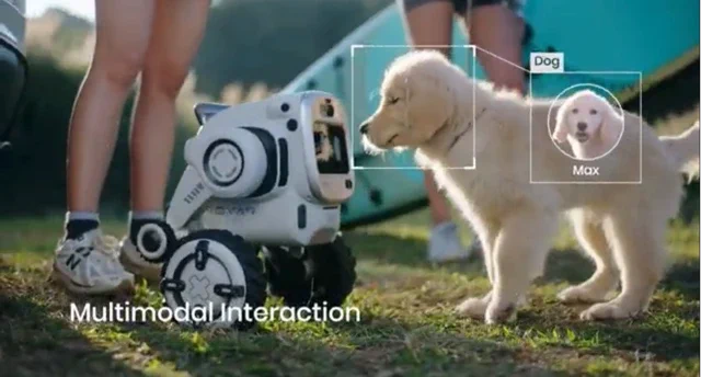 Rovar: A robotizált túratárs, aki őrzi a táborhelyedet