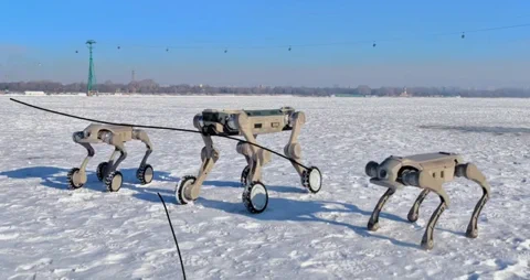 I robot di Genisom ci battono anche negli sport invernali