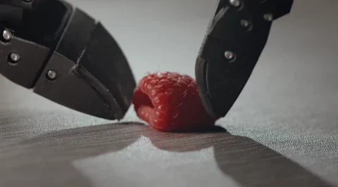 Il robot EKA supera il limite tra velocità e precisione con IA