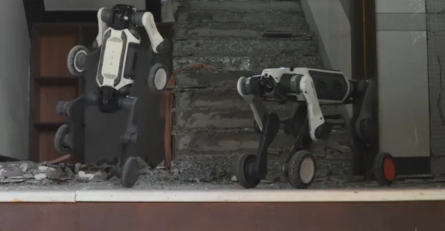 Lynx S10 od Deep Robotics to mały potwór na czterech kołach