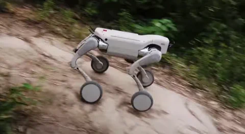 Cão Robô GENISOM L2 Carrega 150kg e Sobe Inclinações de 40°
