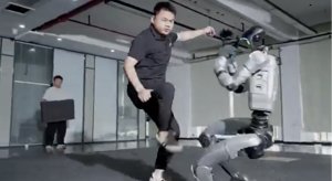 Test di stabilità del robot: un calcio di troppo?