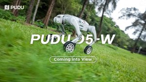 PUDU D5-W: An tIonad Rothaí ag Teacht Go Luath